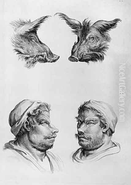 Similarities Between the Head of a Boar and a Man Oil Painting by Charles Le Brun