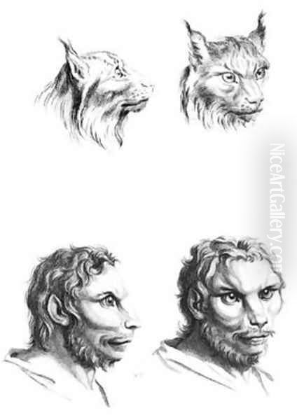 Similarities between the heads of a lynx and a man Oil Painting by Charles Le Brun