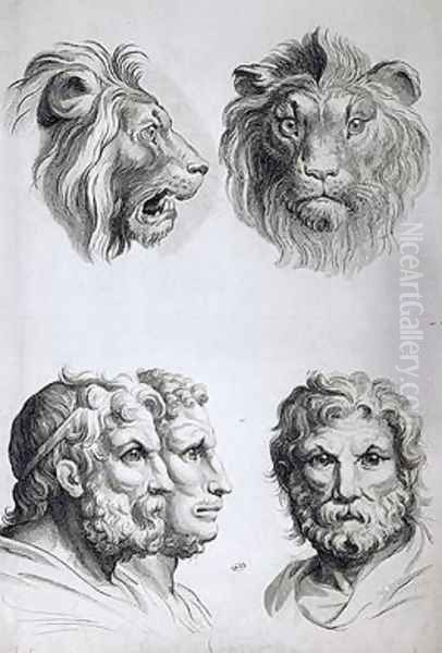 Similarities Between the Head of a Lion and a Man Oil Painting by Charles Le Brun