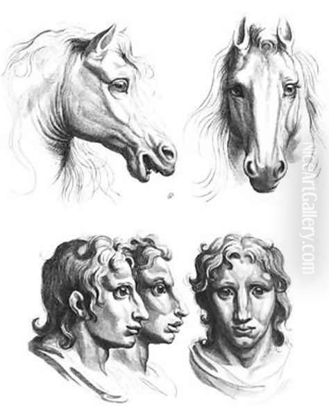 Similarities between the heads of a horse and a man Oil Painting by Charles Le Brun