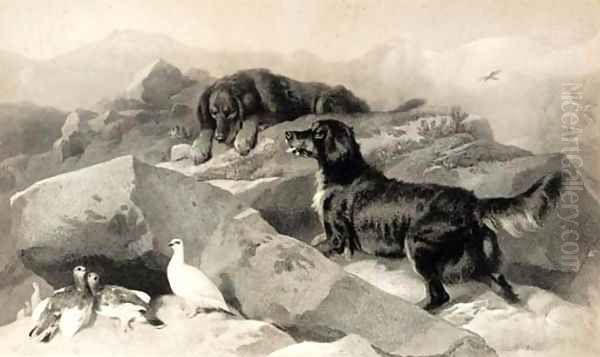 The ptarmigan hill Oil Painting by Landseer, Sir Edwin