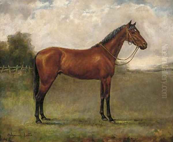 A bay horse in a paddock Oil Painting by Adrienne Lester