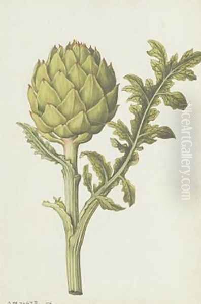 Artichoke Cynara scolymus Oil Painting by Jacques (de Morgues) Le Moyne