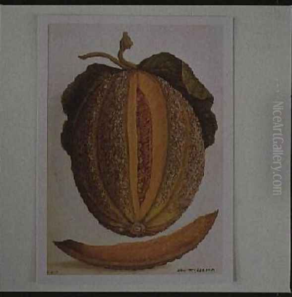 Melon Oil Painting by Jacques (de Morgues) Le Moyne