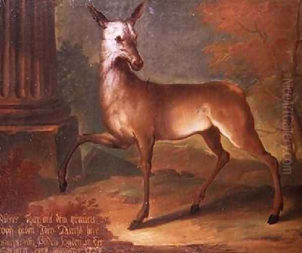 A roe deer 1738 Oil Painting by Heinrich Lihl