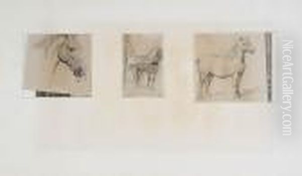 Studies With Horses Oil Painting by Otto Eerelman