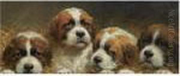 Four Curious Saint Bernards Puppies Oil Painting by Otto Eerelman