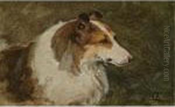 A Scottish Collie Oil Painting by Otto Eerelman