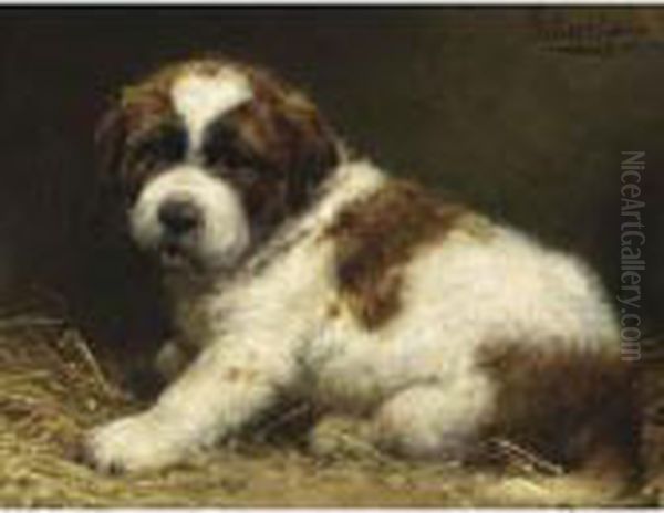 A Saint Bernard Puppy Oil Painting by Otto Eerelman