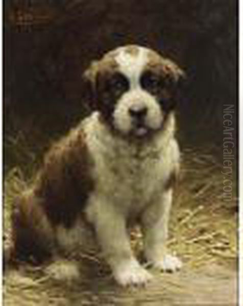 A Saint-bernard Puppy Oil Painting by Otto Eerelman