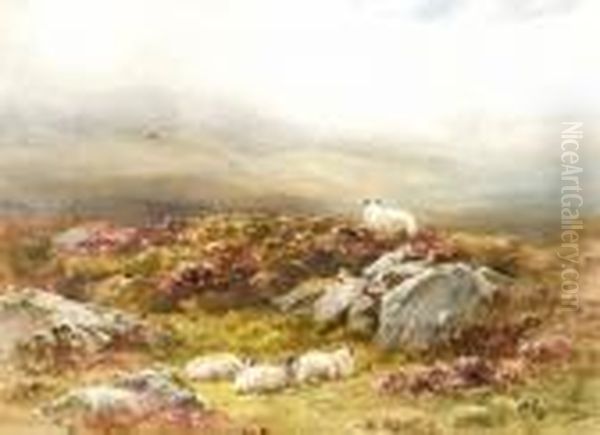 Mountain Sheep 
Perthshire Oil Painting by Wycliffe Egginton