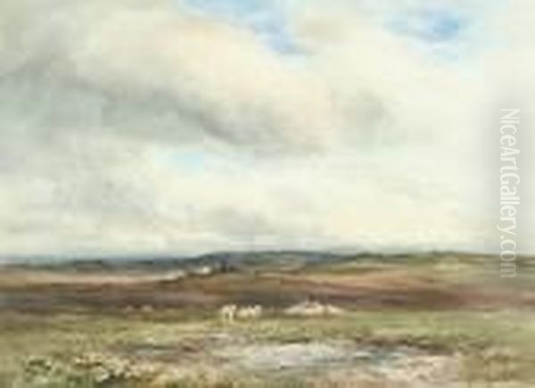 Extensive Countryside Landscape With Sheep Grazing Oil Painting by Wycliffe Egginton