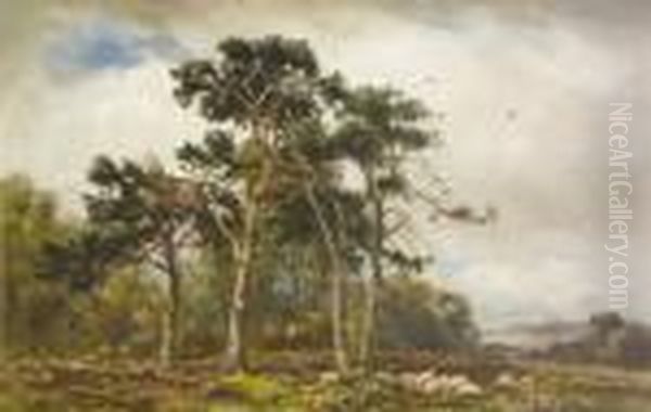 Sheep Resting Under Trees Oil Painting by Wycliffe Egginton