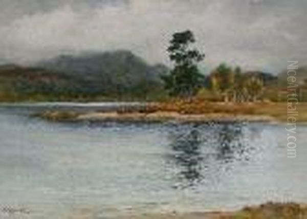 Loch Beinn A Mheadhion Near Glen Affric by Wycliffe Egginton