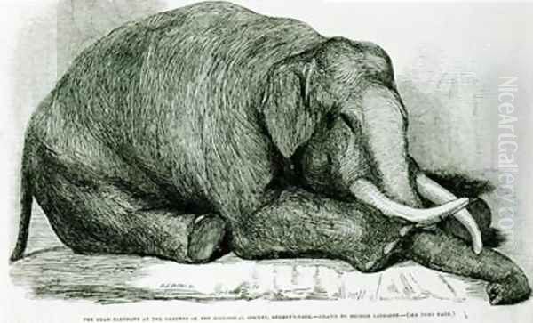 The Dead Elephant at the Gardens of the Zoological Society Regents Park Oil Painting by George Landseer