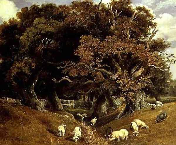 Old Oaks in Buxton Park Oil Painting by Robert Ladbrooke