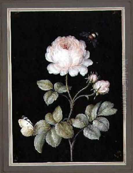 Rose with Bumble Bee and Butterfly Oil Painting by Ernst Friedrich Carl Lang