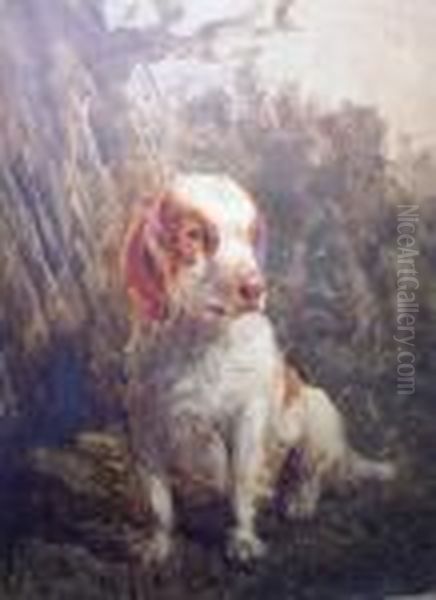 Spaniel Oil Painting by John Emms