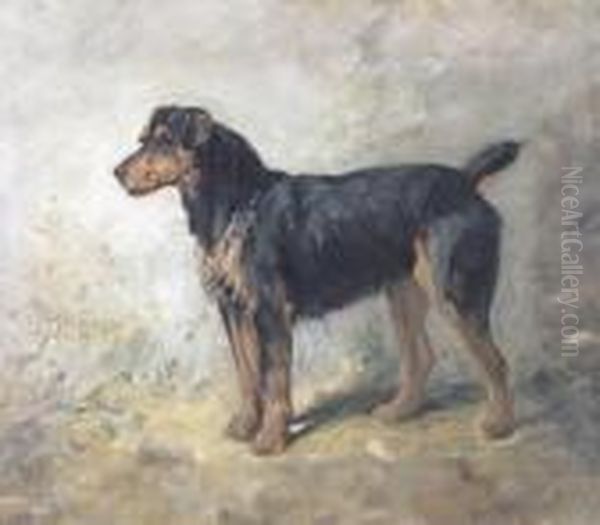 A Terrier Oil Painting by John Emms