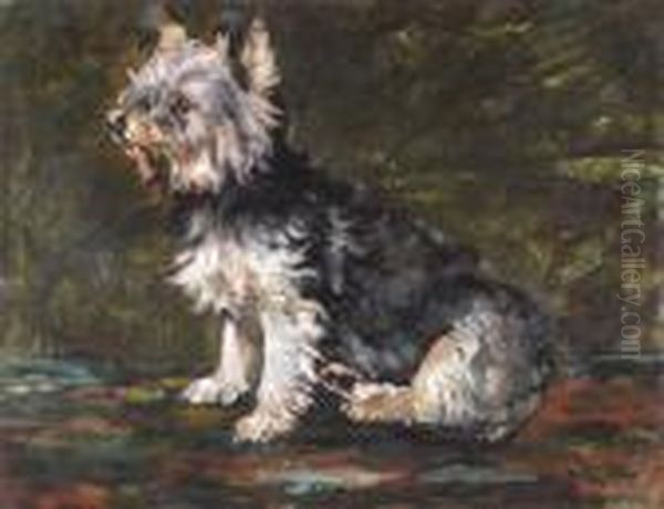 Study Of A Terrier Oil Painting by John Emms