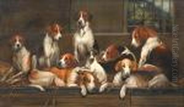 Group Of Hounds Oil Painting by John Emms