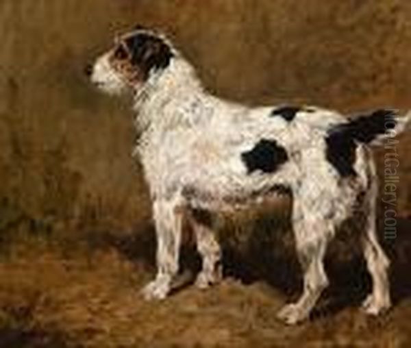 A Wire-haired Fox Terrier Oil Painting by John Emms