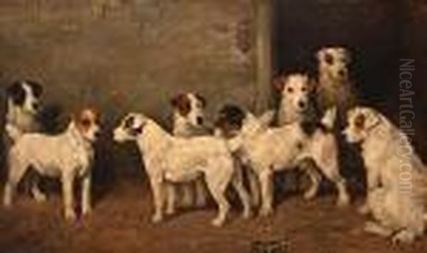 Eight Wire Fox Terriers In A Kennel Oil Painting by John Emms