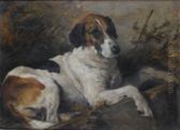 A Study Of The Fox Hound 'nick' Oil Painting by John Emms