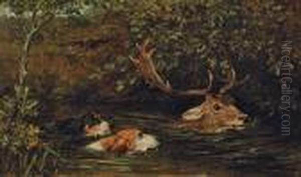 A Stag At Bay Oil Painting by John Emms