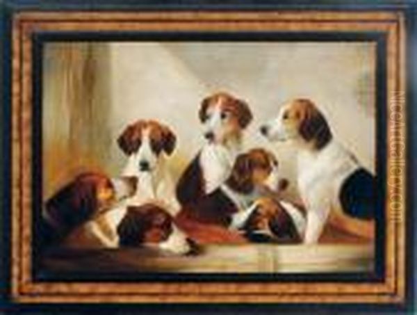 Hounds In A Barn Oil Painting by John Emms