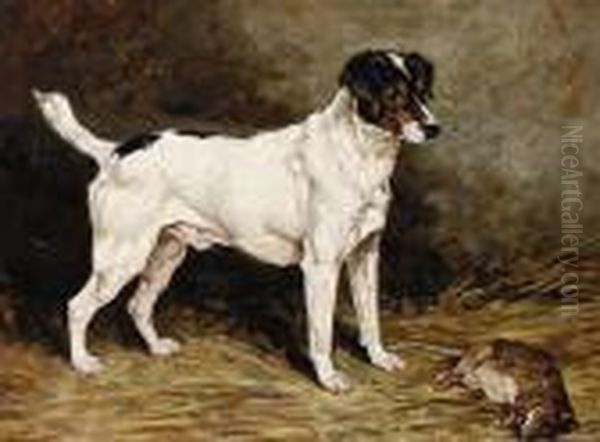 A Jack Russell Terrier In A Barn Oil Painting by John Emms