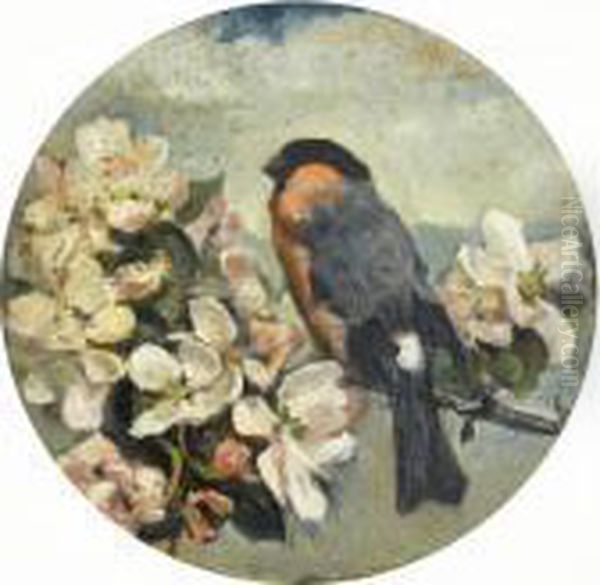 Study Of A Bullfinch On Apple Blossom Oil Painting by John Emms