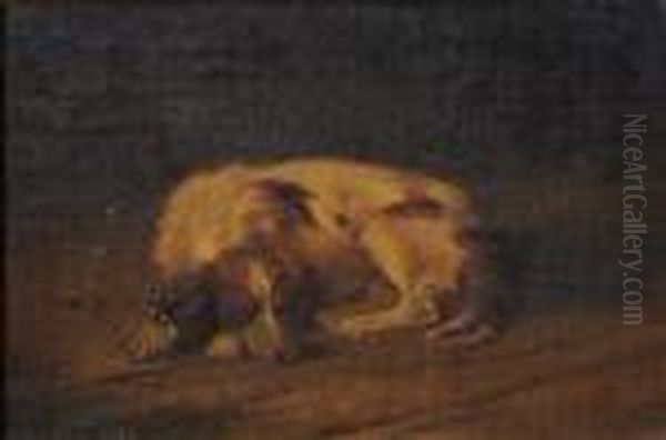 A Sleeping Hound. Oil Painting by John Emms