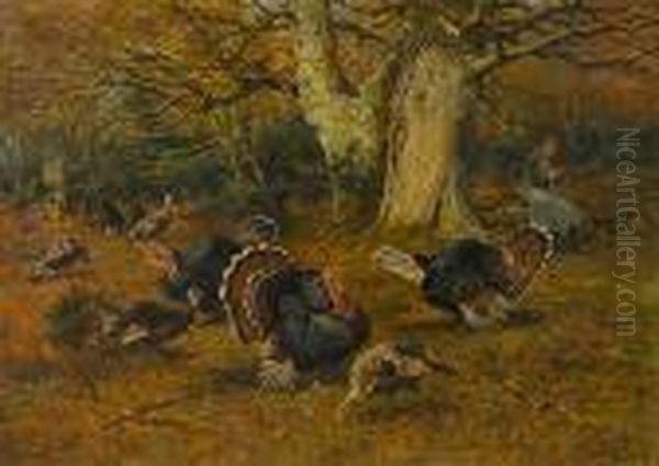 Turkeys In A Wood Oil Painting by John Emms