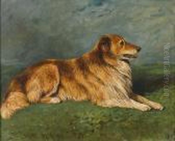 Roy - A Collie In A Landscape Oil Painting by John Emms