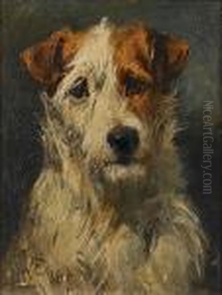 Fox Terrier Oil Painting by John Emms