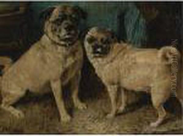 A Pair Of Pugs Oil Painting by John Emms