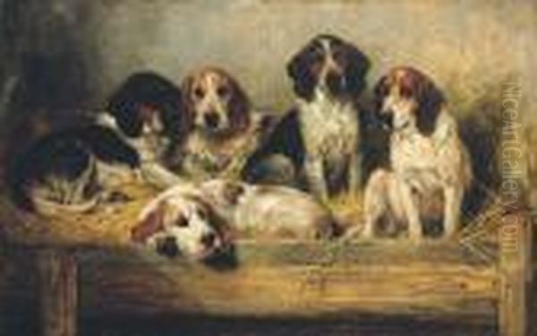 Hounds In A Kennel Oil Painting by John Emms