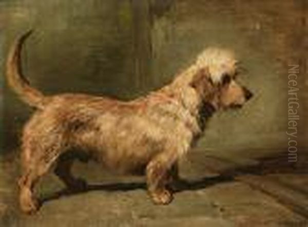 Portrait Of The Dandie Dinmont 'ch. Edenside' Oil Painting by John Emms