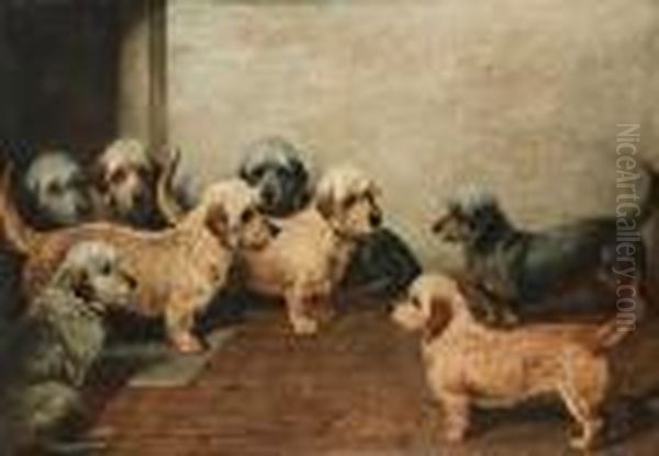 Eight Dandie Dinmonts Oil Painting by John Emms