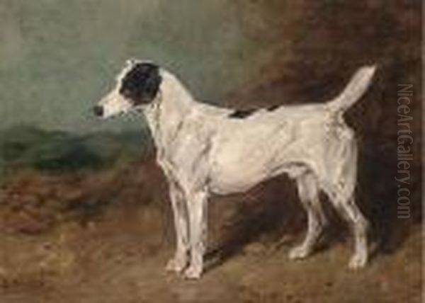 Bitters, A Terrier Oil Painting by John Emms