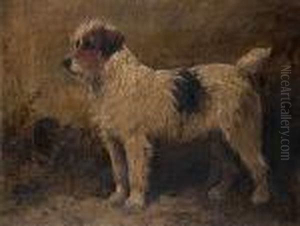 Rough-coated Terrier Oil Painting by John Emms