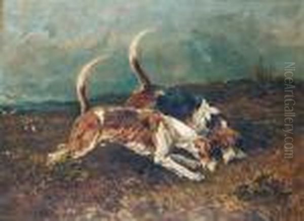 Fox Hounds On The Scent Oil Painting by John Emms