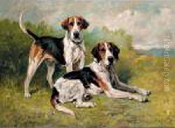 Hounds Resting Oil Painting by John Emms