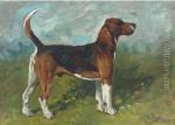 Tomboy, A Hound In A Landscape Oil Painting by John Emms