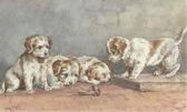 Puppies On A Step Oil Painting by John Emms