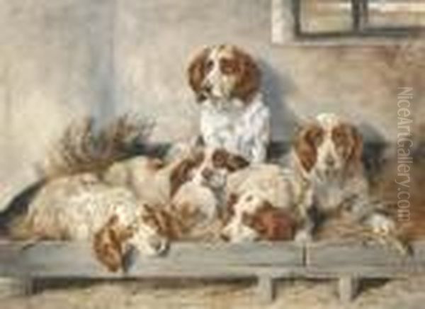 Five Clumber Spaniels Oil Painting by John Emms