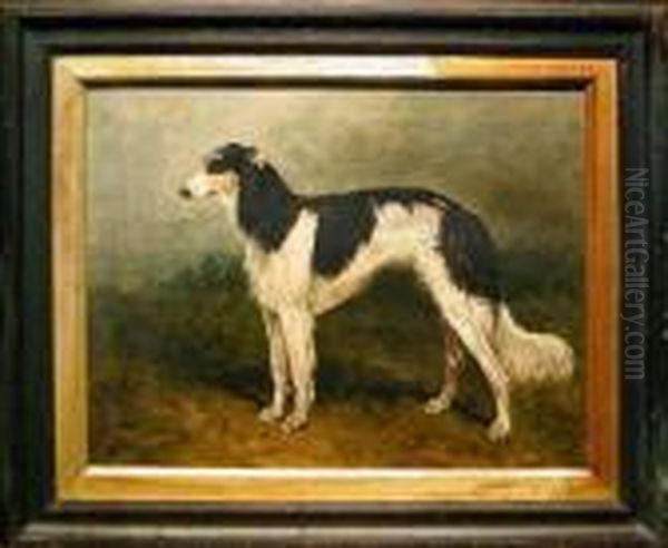 Borzoi In A Landscape by John Emms