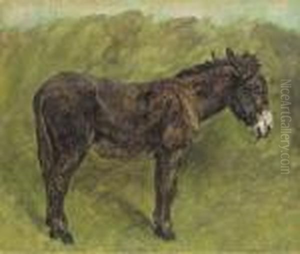 A Donkey Oil Painting by John Emms