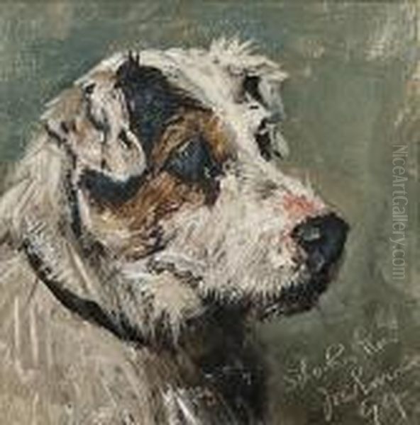 Head Study Of A Terrier Oil Painting by John Emms